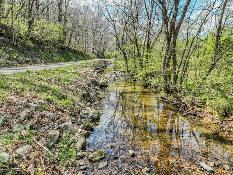 0 Pickard Hollow Rd, Mount Pleasant, TN 38474