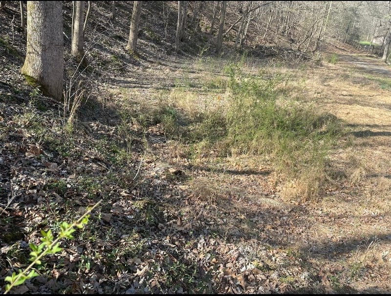1195 Blaylock Rd N, Dickson, TN 37055