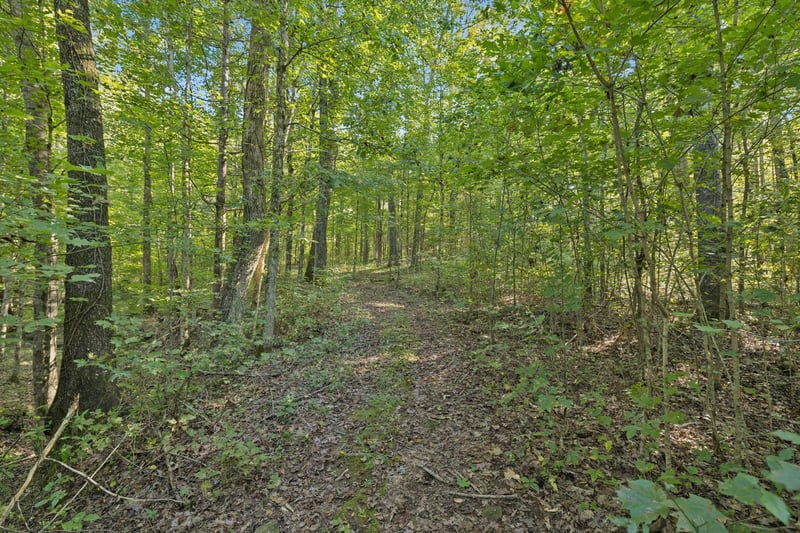 8435 Taliaferro Rd Lot 1, Eagleville, TN 37060