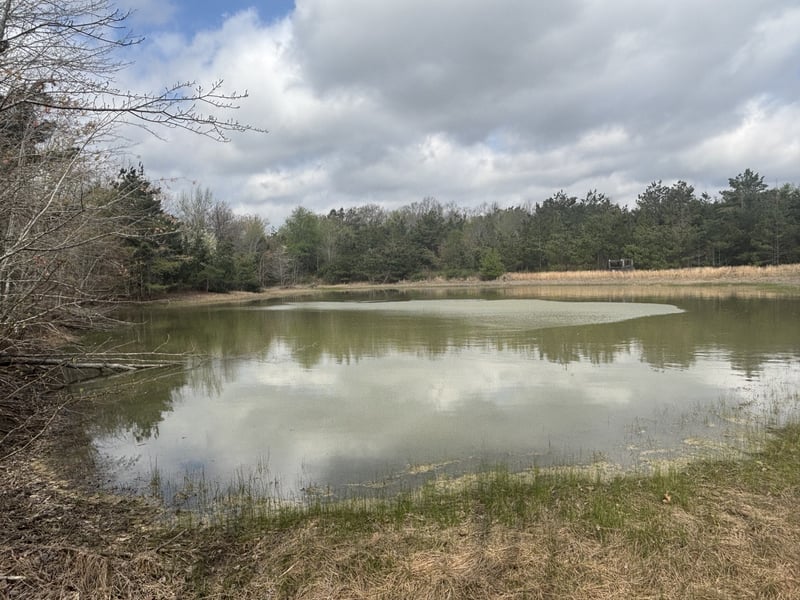 1275 Highway 48 S, Dickson, TN 37055