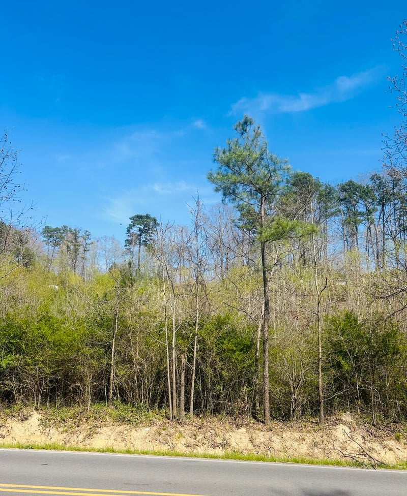 4197 Cohutta Varnell Rd, Cohutta, GA 30710