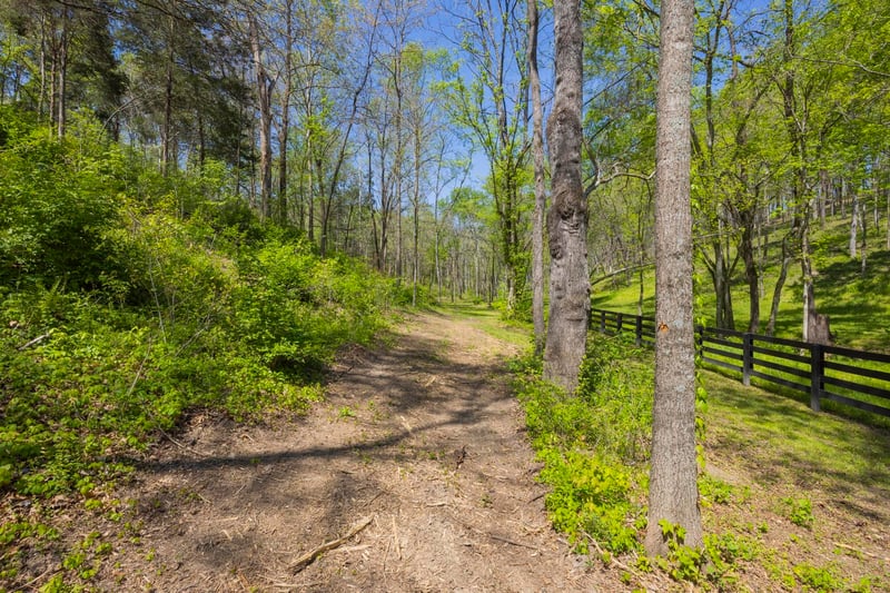 1 Johnson Hollow Rd, Thompsons Station, TN 37179