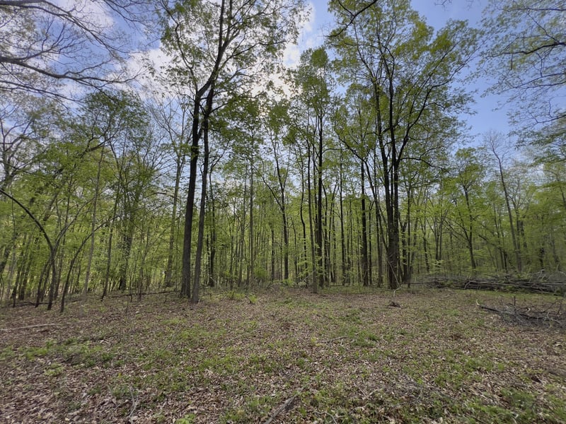 0 Valley Rd, Fairview, TN 37062