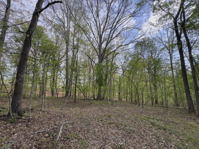 0 Valley Rd, Fairview, TN 37062