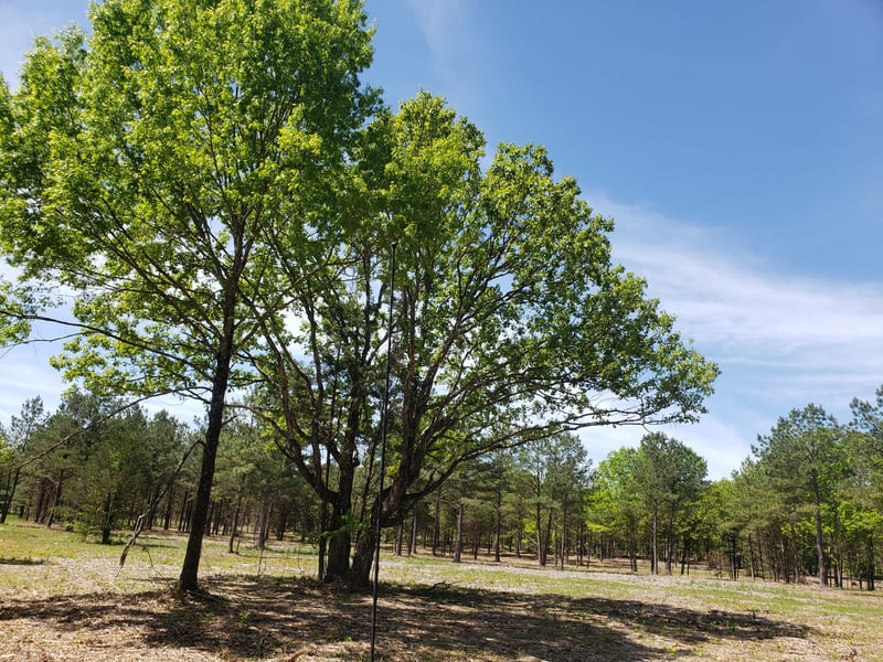 0 Kedron Rd Lot 4, Spring Hill, TN 37174