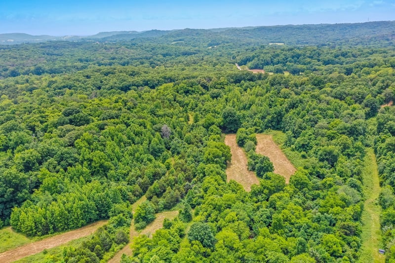 6492 Arno College Grove Rd, College Grove, TN 37046