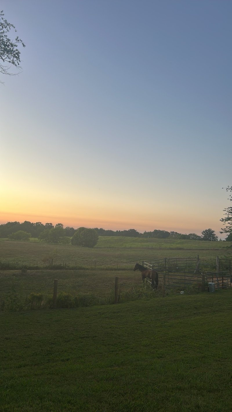 6180 Crawford Store Rd, Springfield, TN 37172