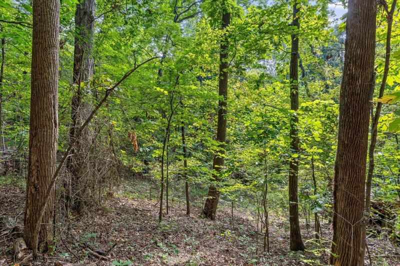2255 Nickajack Rd, Flintstone, GA 30725