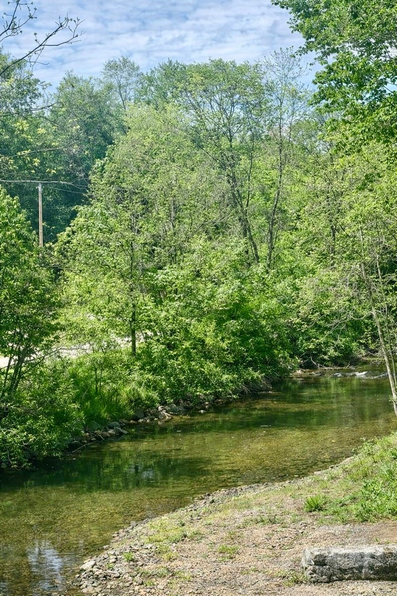 0 Little Bartons Creek Rd, Cumberland Furnace, TN 37051