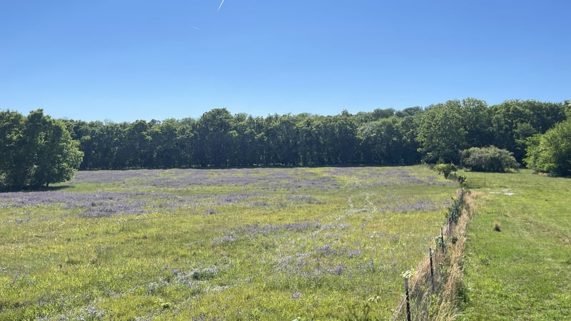 1480 Rogers Ln, Lebanon, TN 37087
