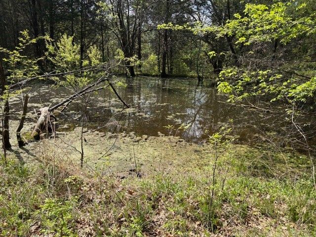 83 Nixon Ln, Watertown, TN 37184