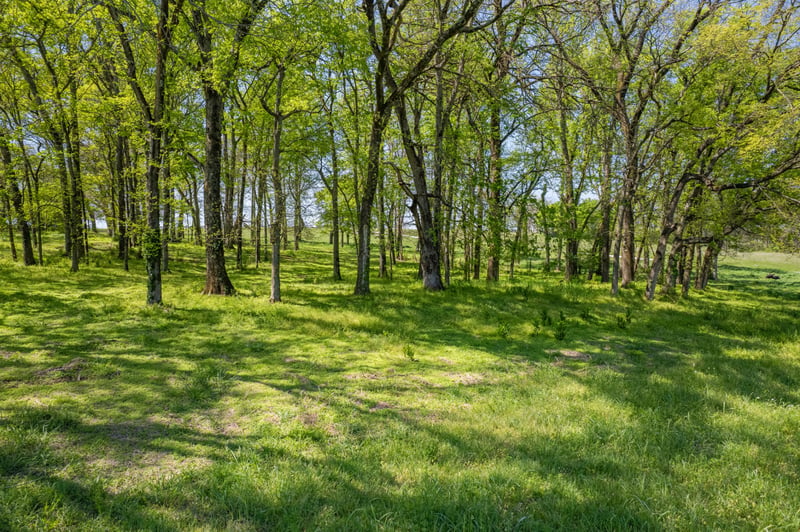 4 Old Zion Rd Lot 4, Columbia, TN 38401