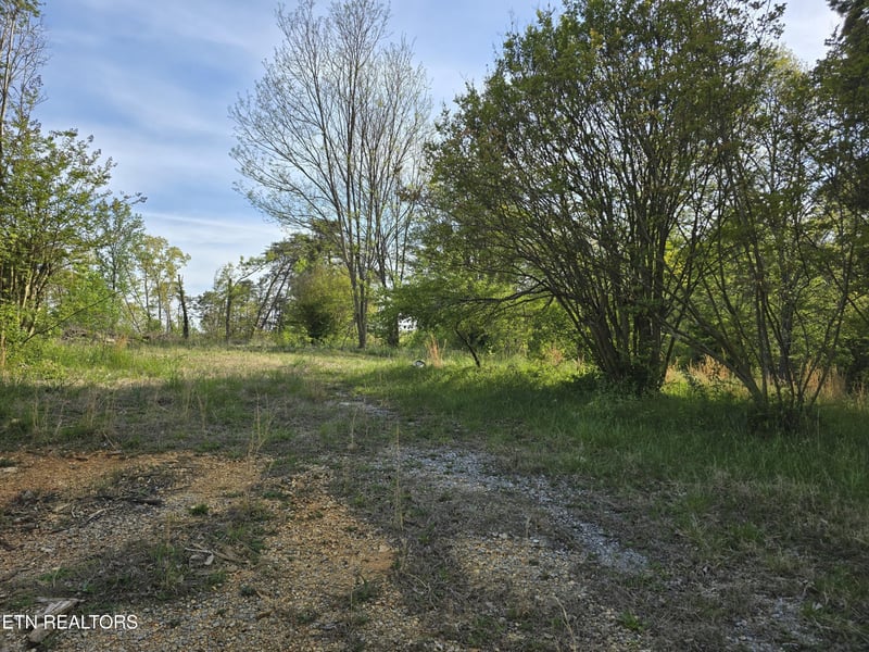 3697 Jackson Bend Rd, Lenoir City, TN 37772