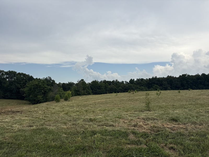 210 Nubia Rd, Westmoreland, TN 37186