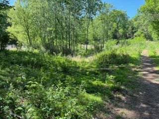 0 Murphy Ln, Culleoka, TN 38451