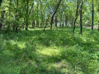 0 Murphy Ln, Culleoka, TN 38451