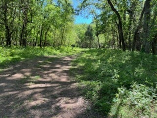0 Murphy Ln, Culleoka, TN 38451