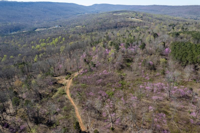 3607 Co Rd 792, Flat Rock, AL 35966