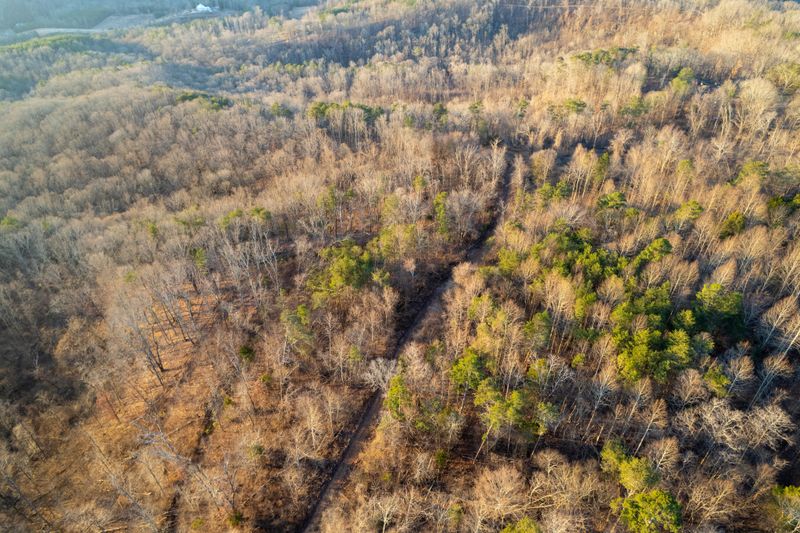 3607 Co Rd 792, Flat Rock, AL 35966