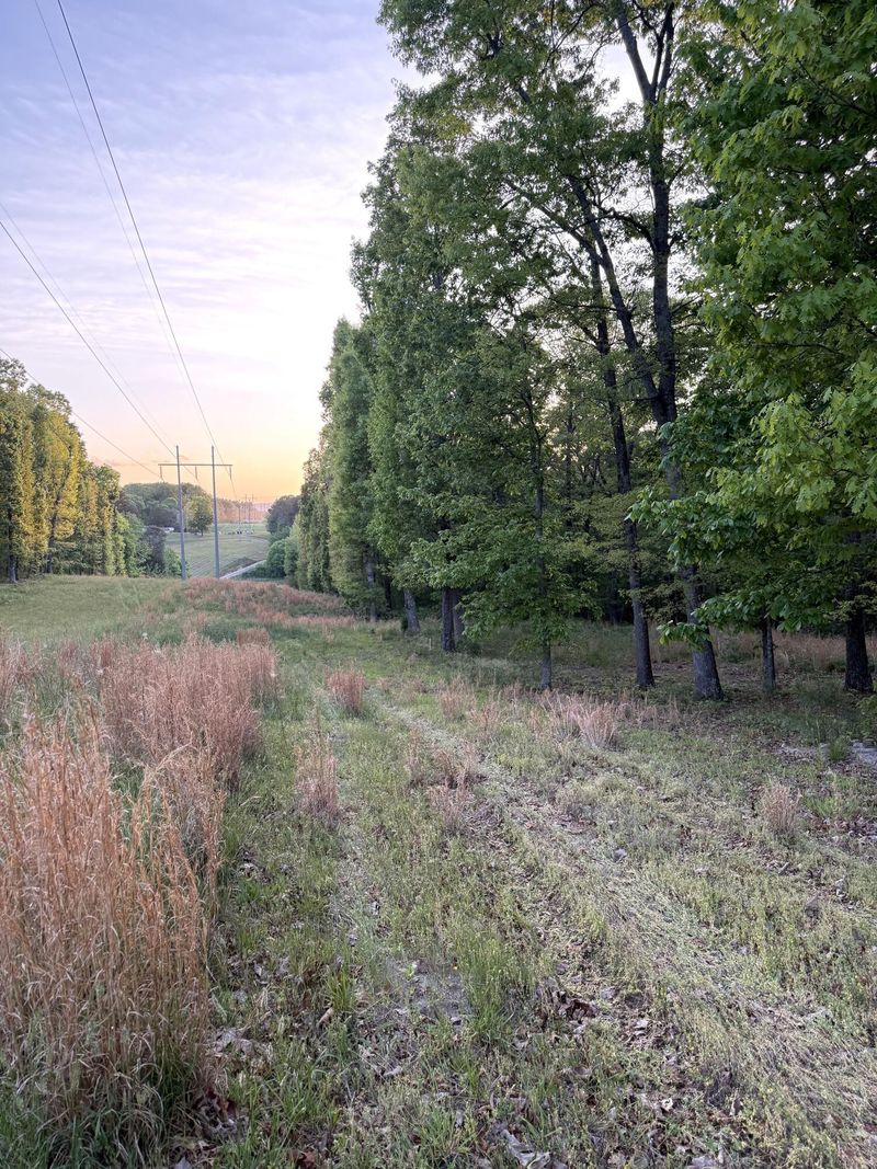 675 Lee Mason Rd, La Fayette, GA 30728