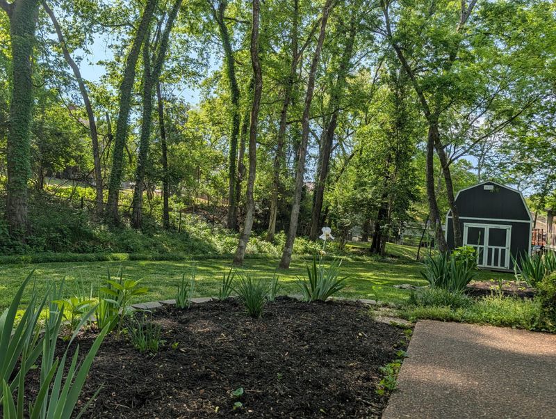 130 Nathan Forest Dr, Hendersonville, TN 37075