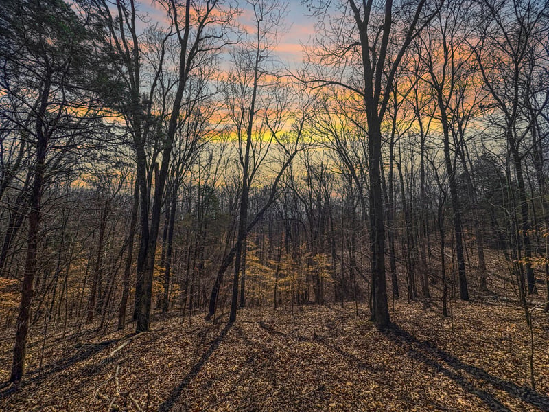 0 Butcher Ridge Rd, Cumberland Furnace, TN 37051