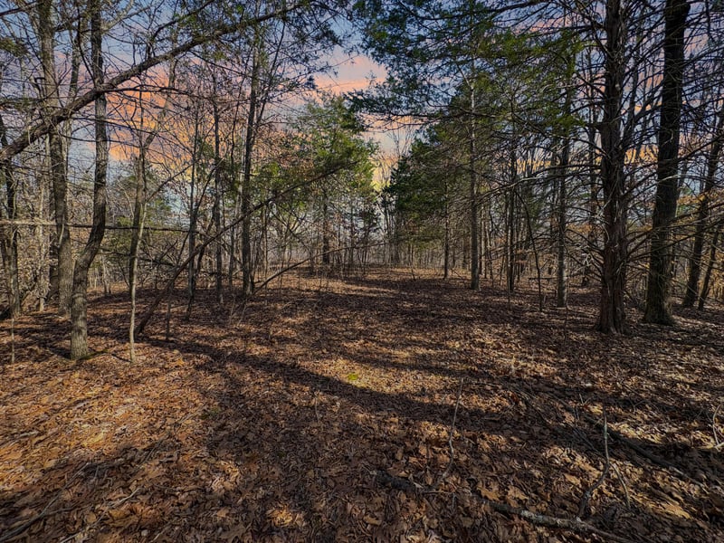 0 Butcher Ridge Rd, Cumberland Furnace, TN 37051
