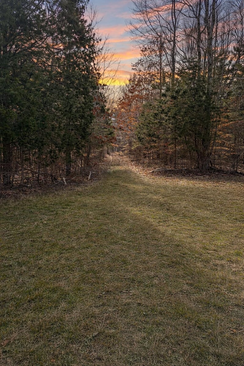 0 Butcher Ridge Rd, Cumberland Furnace, TN 37051