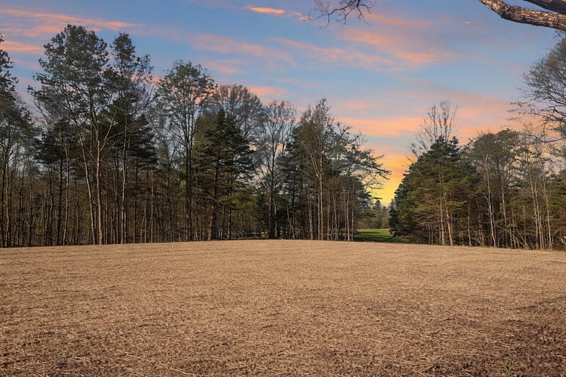 0 Butcher Ridge Rd, Cumberland Furnace, TN 37051
