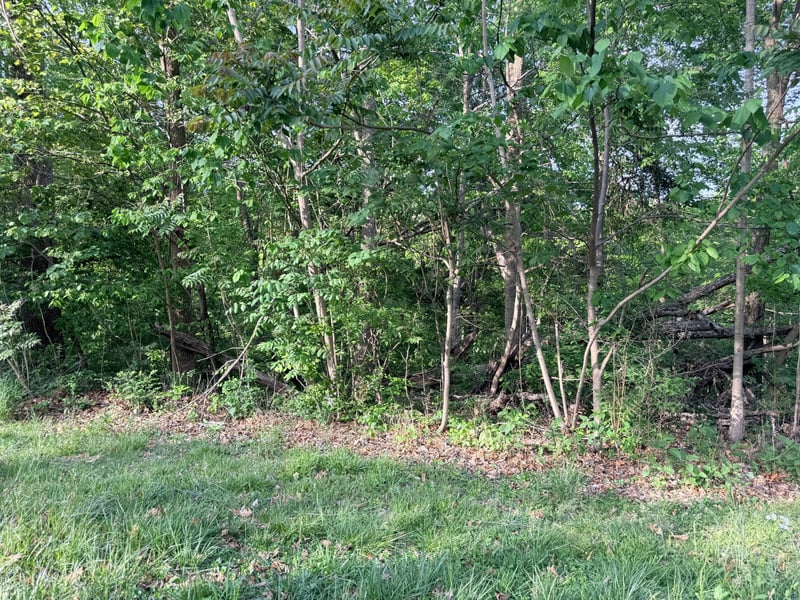 0 Wildwood St Lot 82, White House, TN 37188