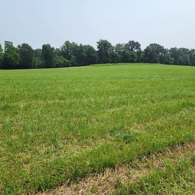 0 Red River School Rd Lot 20, Portland, TN 37148