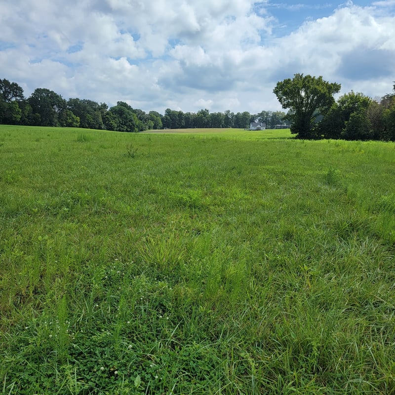 0 Red River School Rd Lot 20, Portland, TN 37148