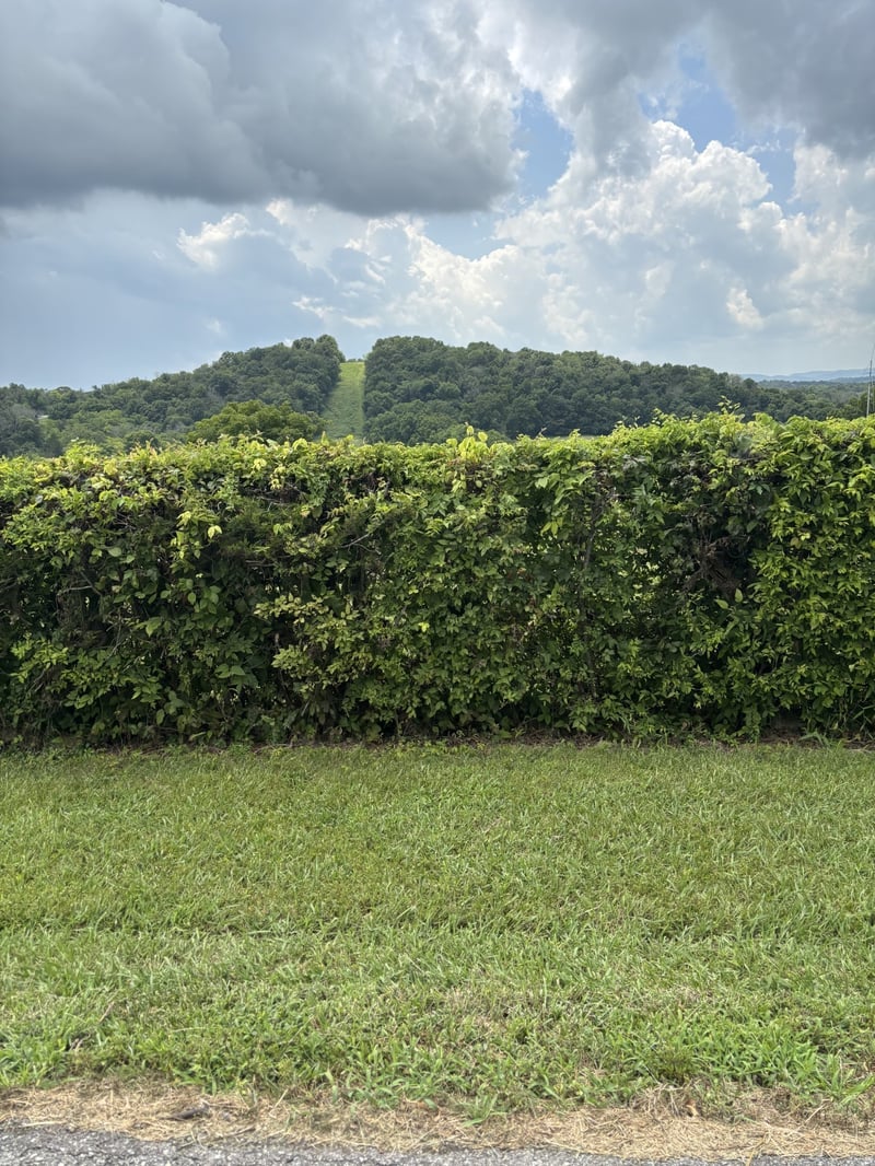 0 Nolensville, Nolensville, TN 37135