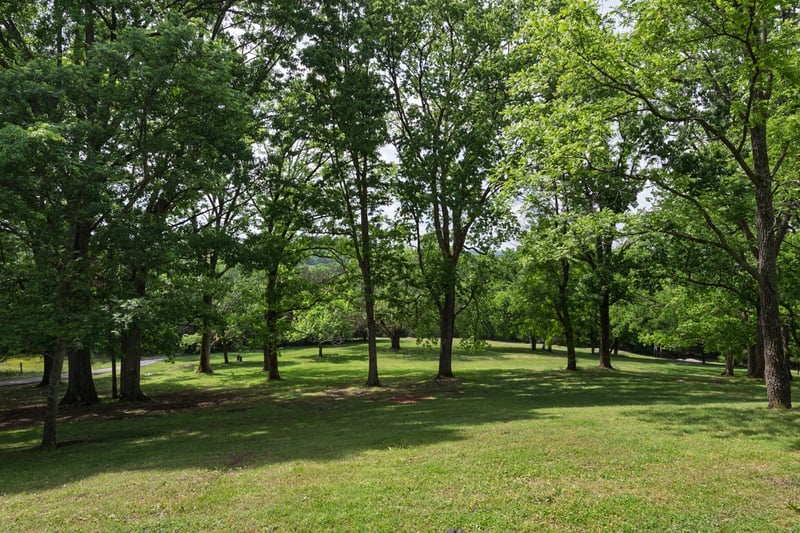 609 Statesville Rd, Watertown, TN 37184