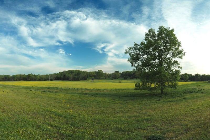 5 Corinth Rd Lot 5, Mount Juliet, TN 37122