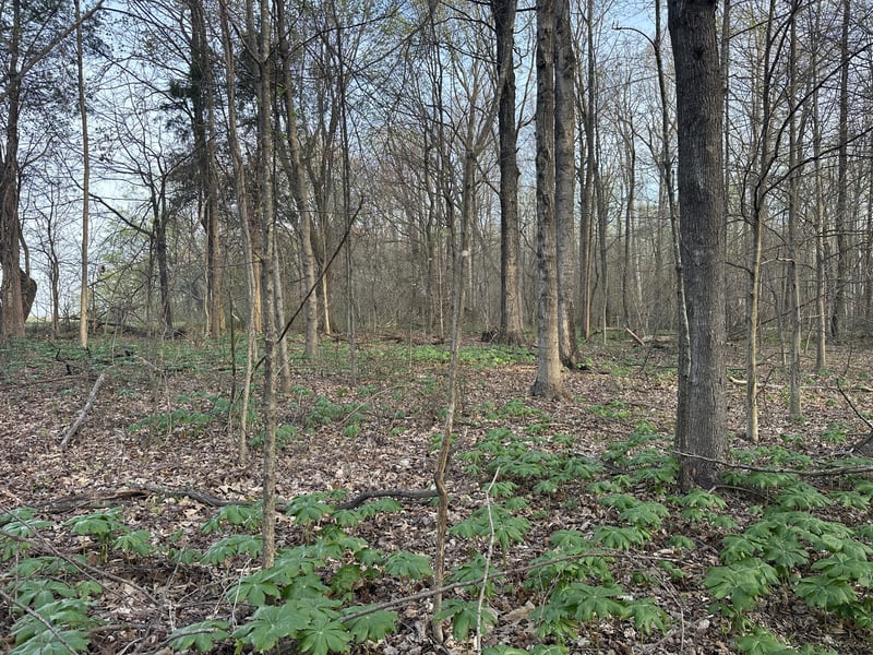 168 Fleming Rd Lot 1, Portland, TN 37148