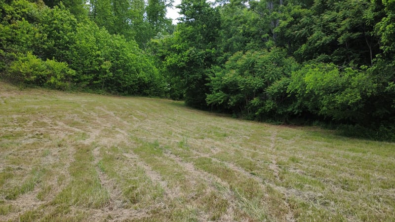 0 Love Branch Rd, Hampshire, TN 38461