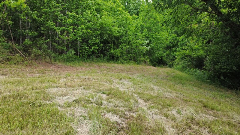 0 Love Branch Rd, Hampshire, TN 38461