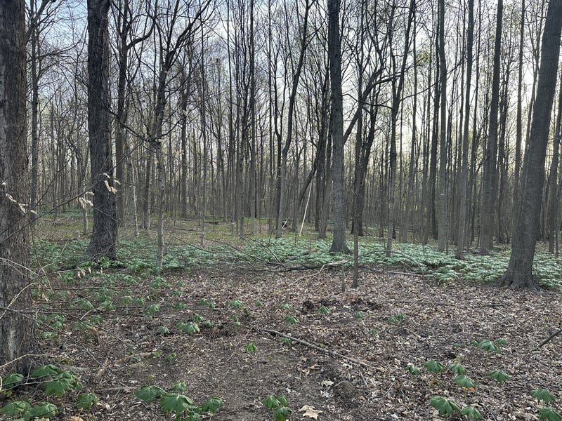 2173 Highway 259 Lot 10, Portland, TN 37148