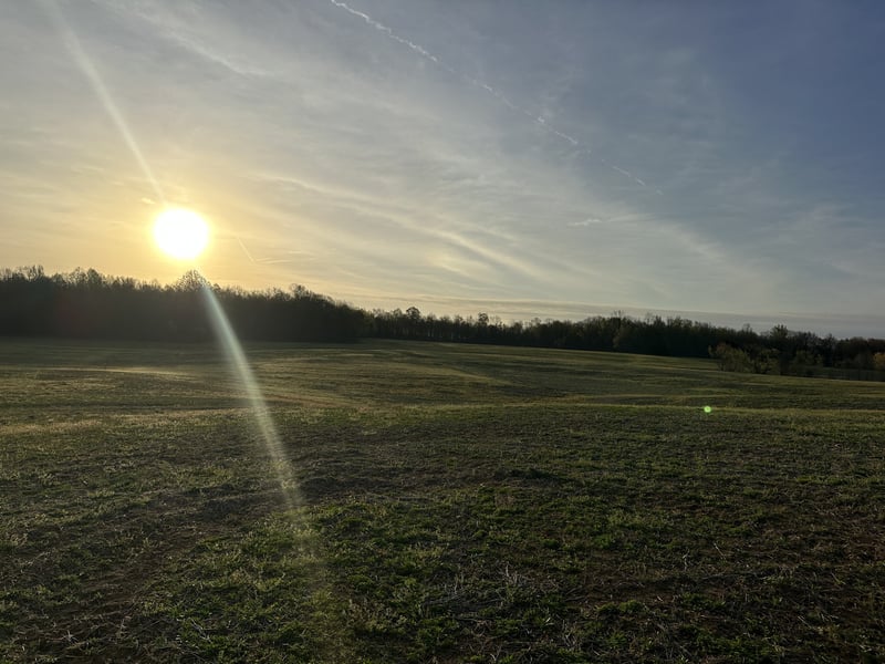 2193 Highway 259 Lot 12, Portland, TN 37148