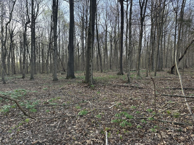 163 White Rd Lot 13, Portland, TN 37148