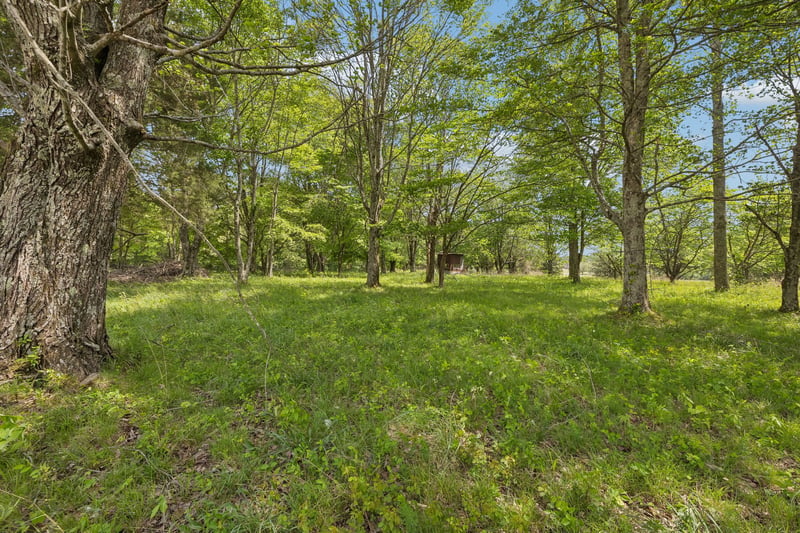 473 Hickory Corner Rd, Bethpage, TN 37022