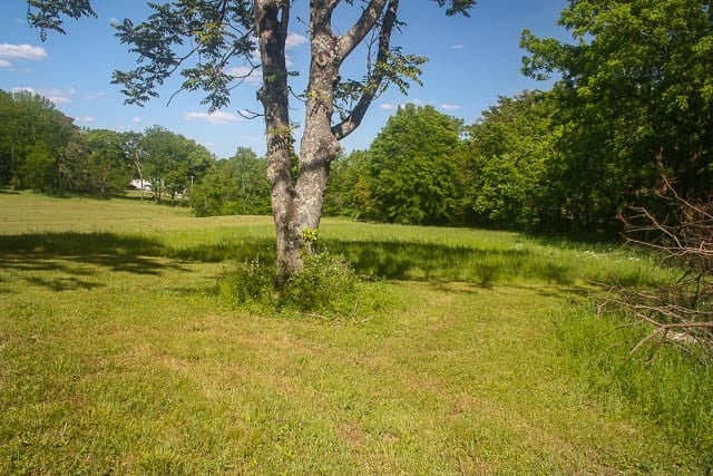 0 Harpeth Peytonsville Rd Lot 2, Thompsons Station, TN 37179