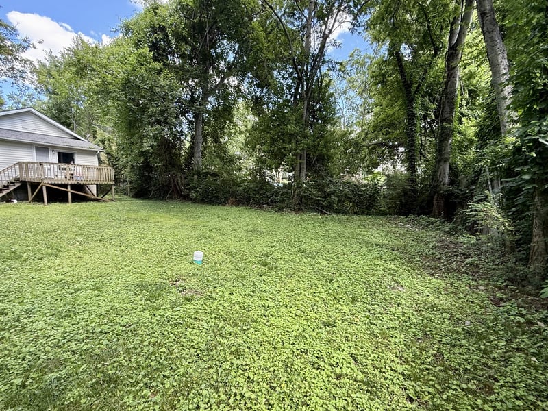 111B Newell Ave, Old Hickory, TN 37138