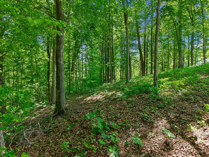 0 Casparis Rd, Franklin, TN 37064