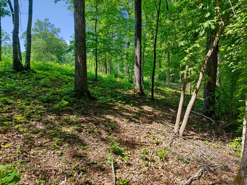 0 Casparis Rd, Franklin, TN 37064