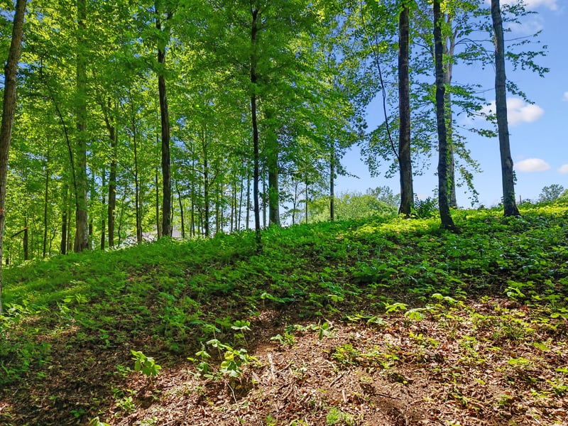 0 Casparis Rd, Franklin, TN 37064