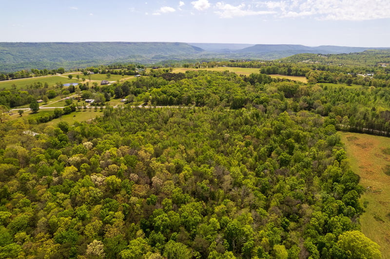 0 Ga 136, Trenton, GA 30752