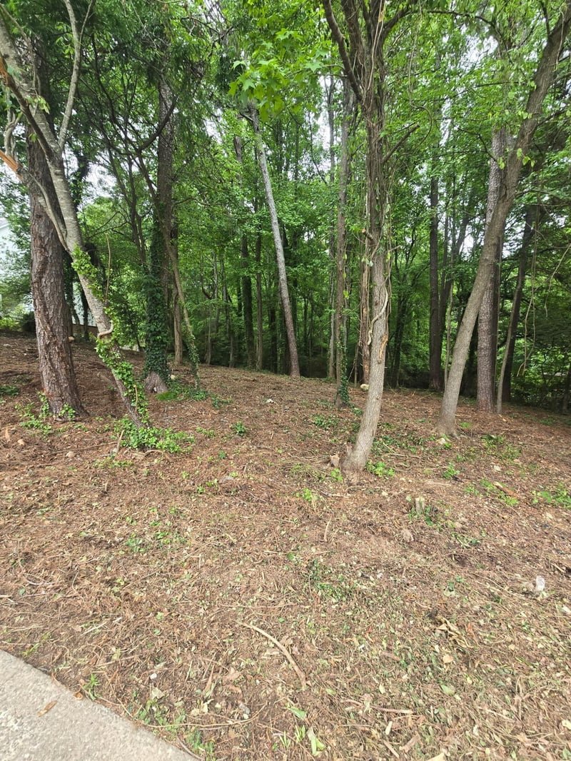 35 Ryman Ridge Rd Lot 35, Dalton, GA 30720