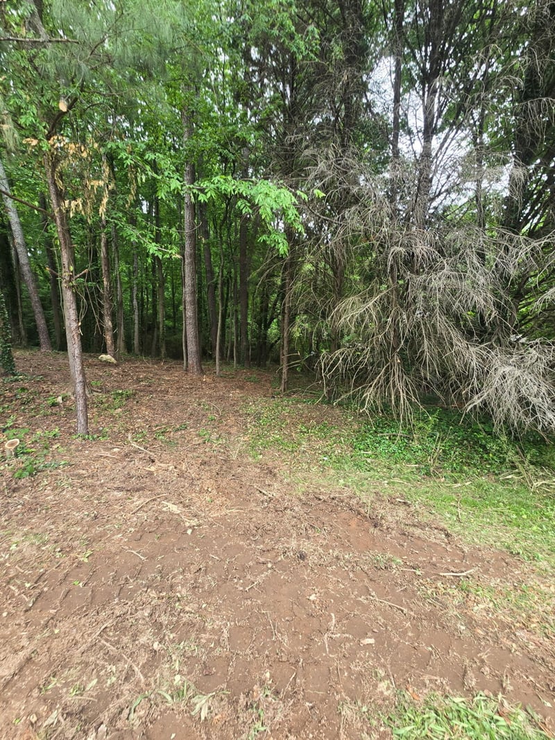 35 Ryman Ridge Rd Lot 35, Dalton, GA 30720